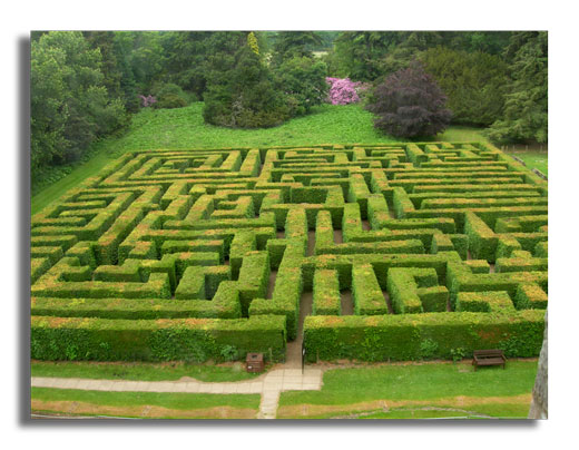 The Maze in Traquair House Park - 2006