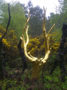 The Golden Tree of Brocéliande Forest in Brittany