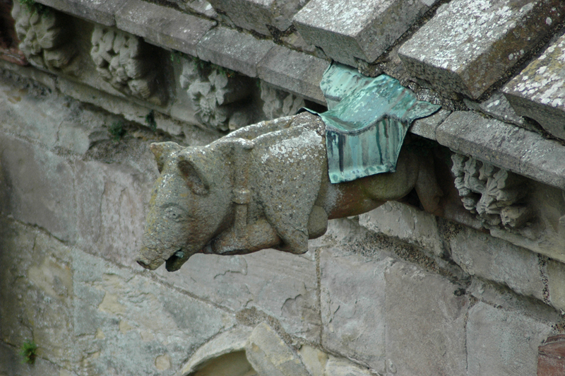 Scottish Borders - Melrose Abbey  "pig playing bagpipes" carving 