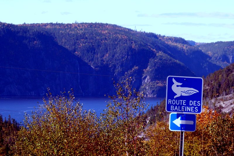 Quebec QC Saguenay Route des Baleines road sign