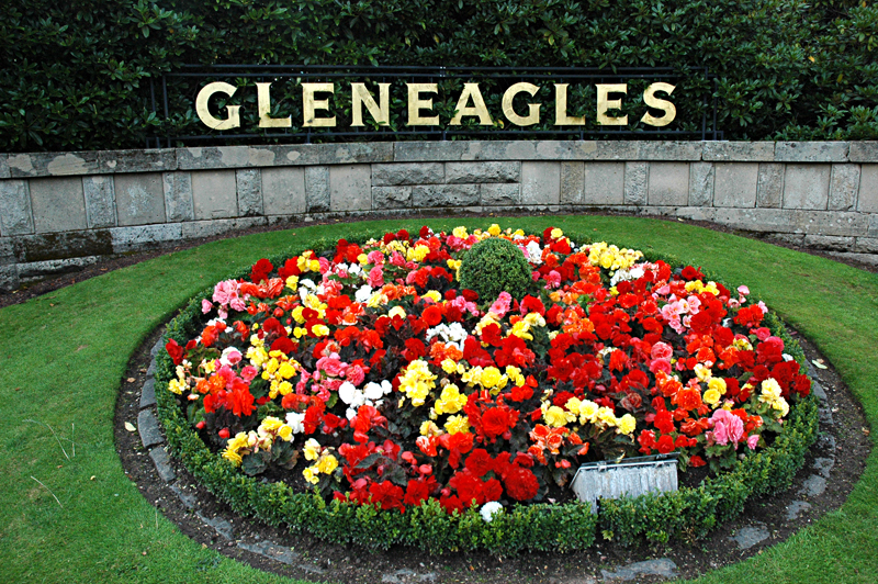 Gleneagles flower-bed Auchterarder, Perth and Kinross, Scotland  © 2007 Scotiana