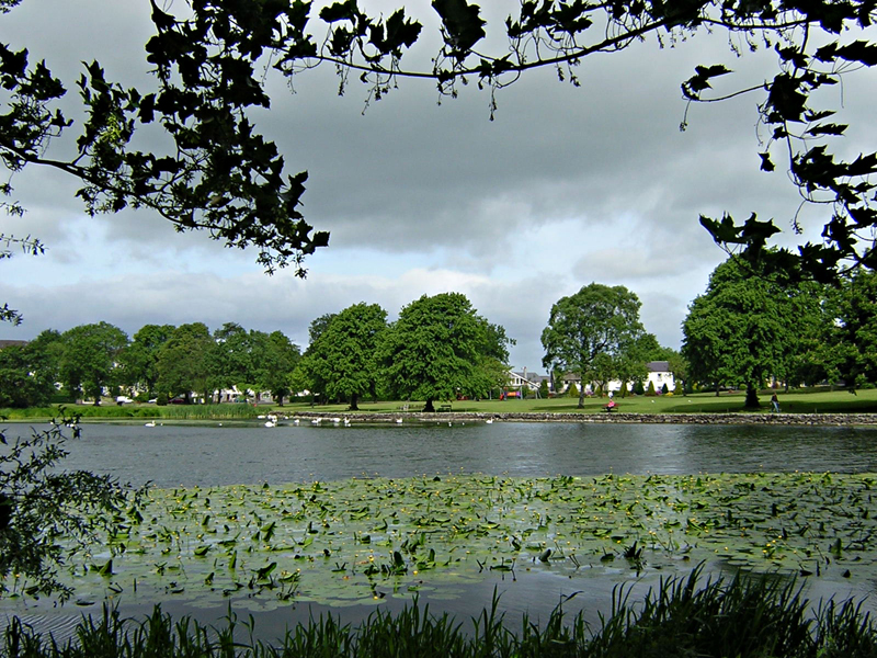 Lochside Caravan and Camping Site waterlilies on Carlingwark Loch Castle Douglas Dumfries & Galloway Scotland © 2004 Scotiana