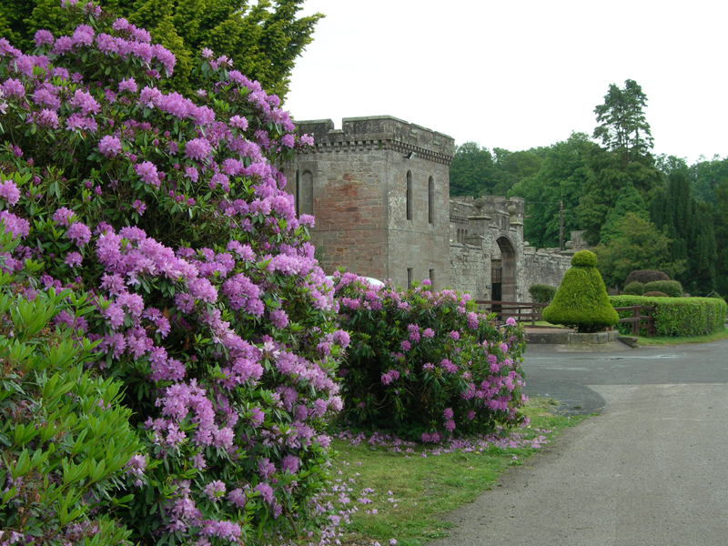 Hoddom Castle Entrance rhodos Dumfries & Galloway Scotland  © 2006 Scotiana