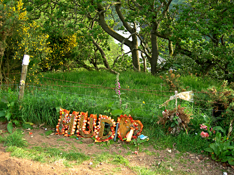  Scottish Borders Unknown In Memoriam on the Scott's View path  © 2006 Scotiana