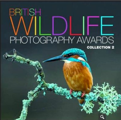 Brisitsh Wildlife Photography Awards