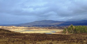 Highlands of Scotland Rannoch Moor Source : Wikipedia Photo by Mogens Engelund