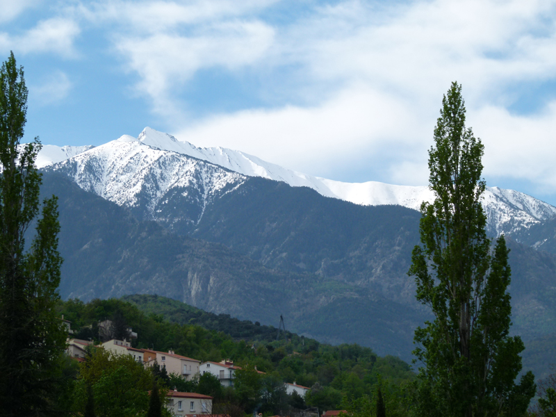 View on Mont Canigou from Ille-sur-Têt Pyrénées Orientales France © 2012 Scotiana