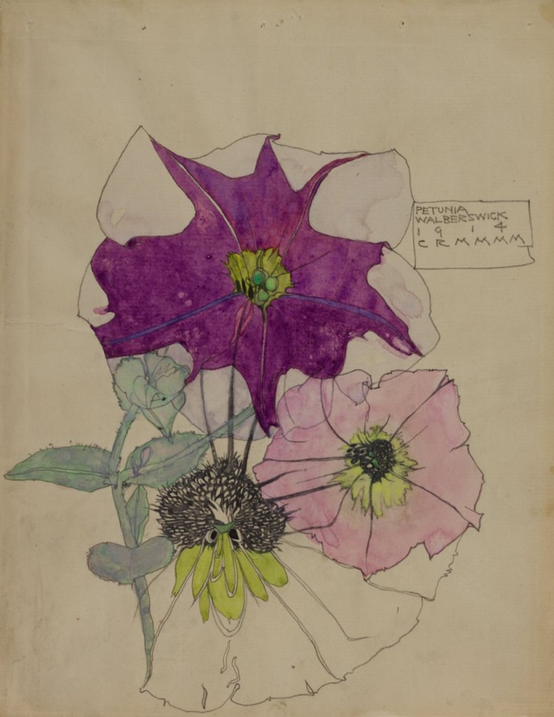 Petunia, Walberswick1914 Source The Hunterian Museum & Art Gallery University of Glasgow