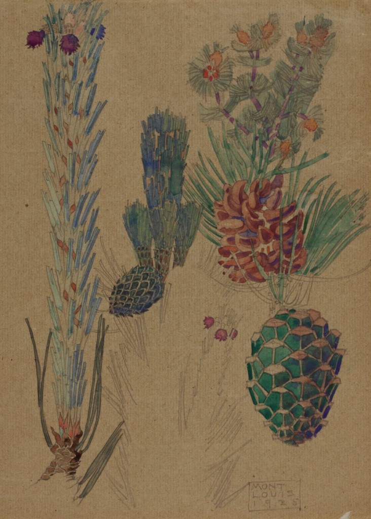 Pine Cones 1925 Source The Hunterian Museum & Art Gallery University of Glasgow