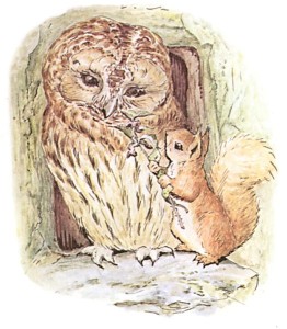 Beatrix Potter illustration for 'Squirrel Nutkin' the owl Wikipedia