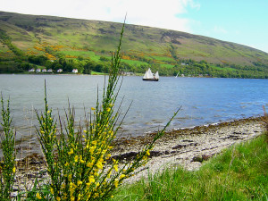 Bute beach boat race broom-covered hills © 2004 Scotiana