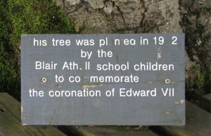 Tree for Edward VII in Blair Atholl