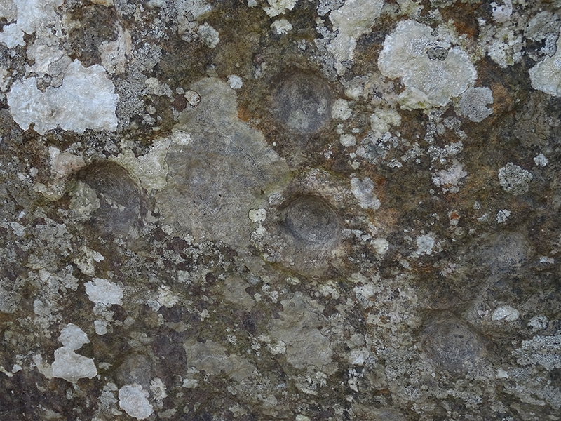 Clava Cairns cupmarks on the stones © 2015 Scotiana