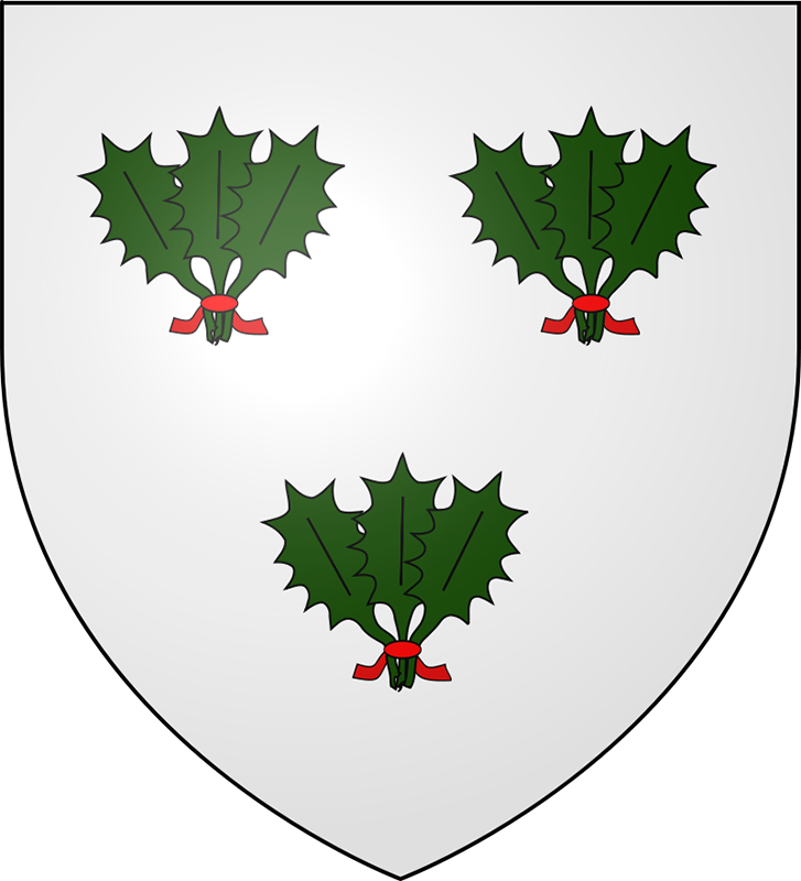 Coat of arms of clan Irvine of Drum